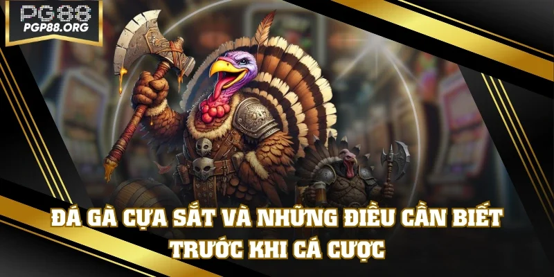 Đá Gà Cựa Sắt Và Những Điều Cần Biết Trước Khi Cá Cược