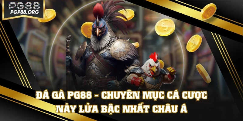 Đá Gà PG88 - Chuyên Mục Cá Cược Nảy Lửa Bậc Nhất Châu Á