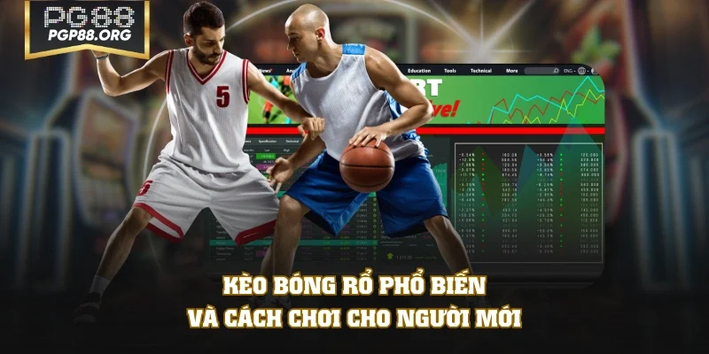 Kèo bóng rổ phổ biến và cách chơi cho người mới