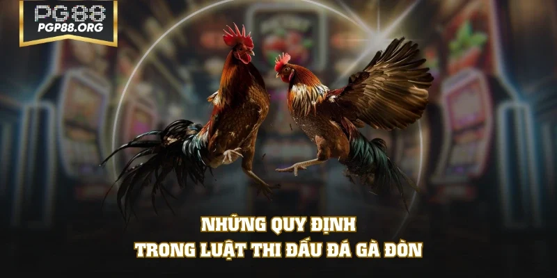Những quy định trong luật thi đấu đá gà đòn
