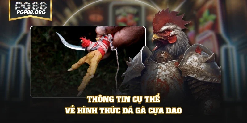 Thông tin cụ thể về hình thức đá gà cựa dao