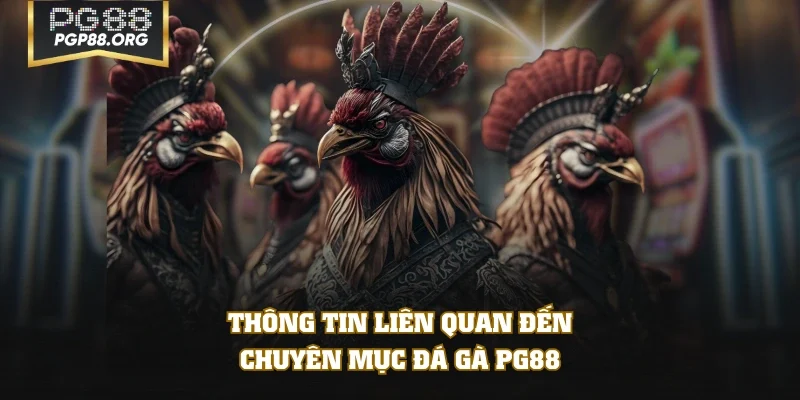 Thông tin liên quan đến chuyên mục đá gà PG88